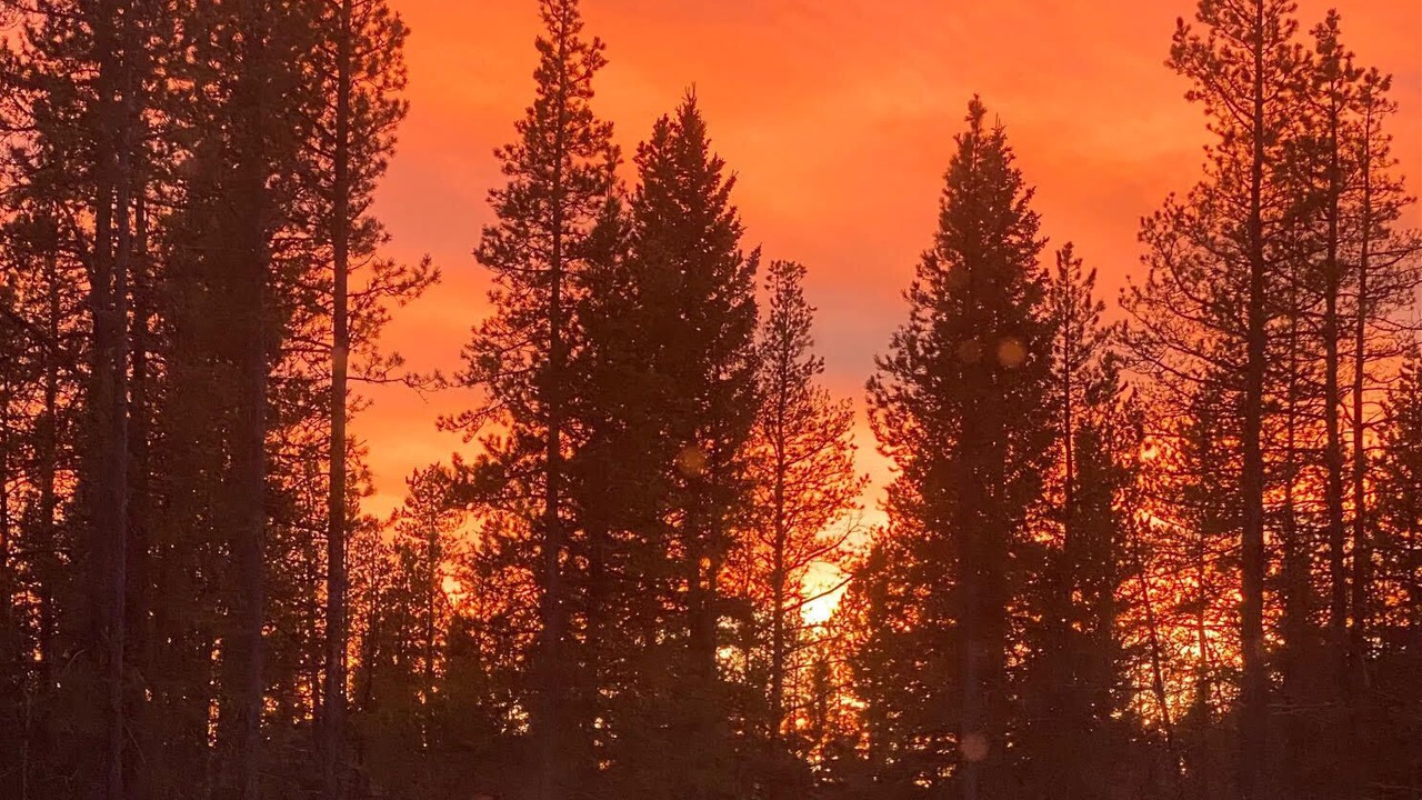 Photo of Others in Bragg Creek