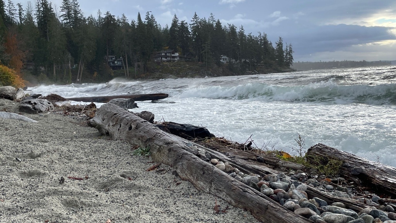 Photo of Others in Powell River
