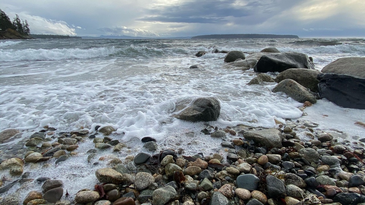 Photo of Others in Powell River