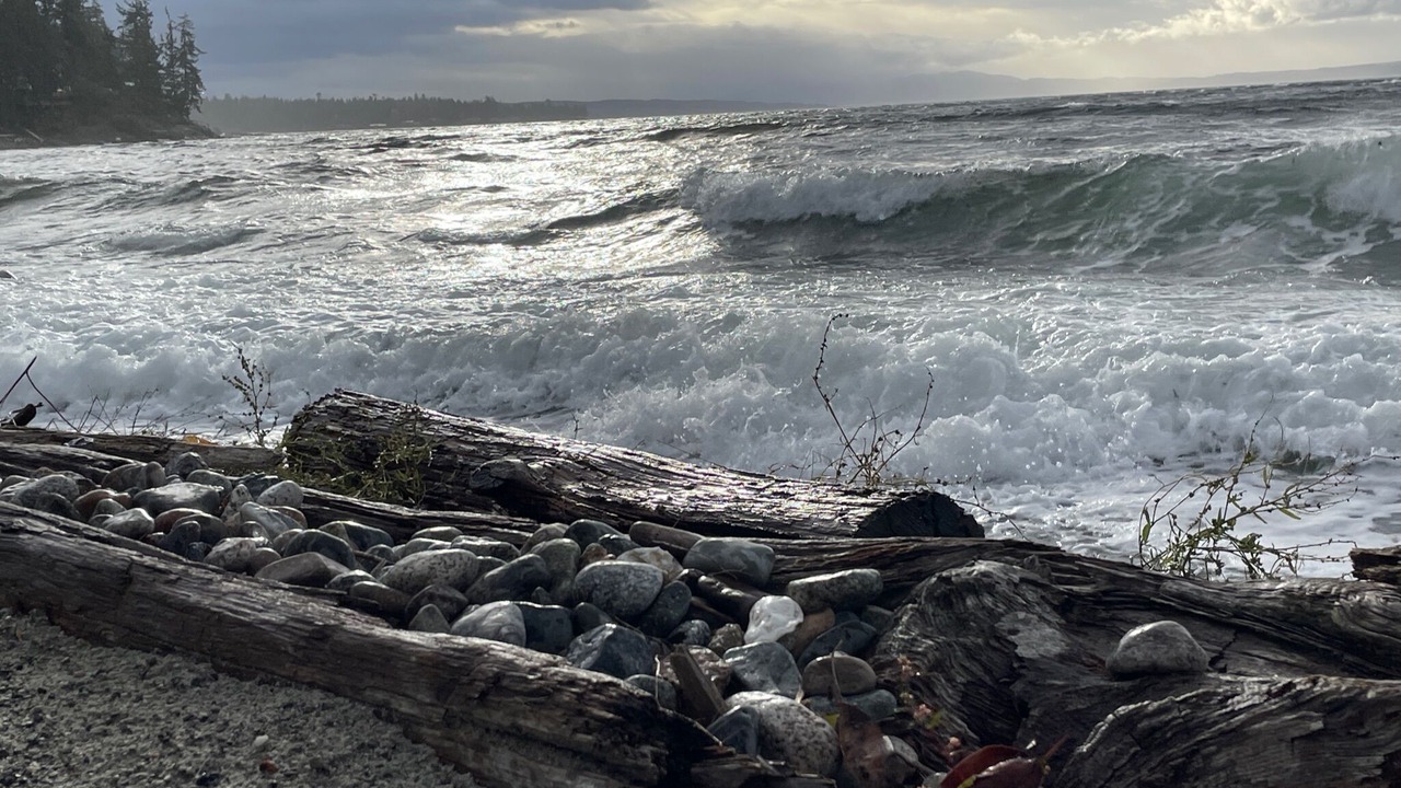 Photo of Others in Powell River