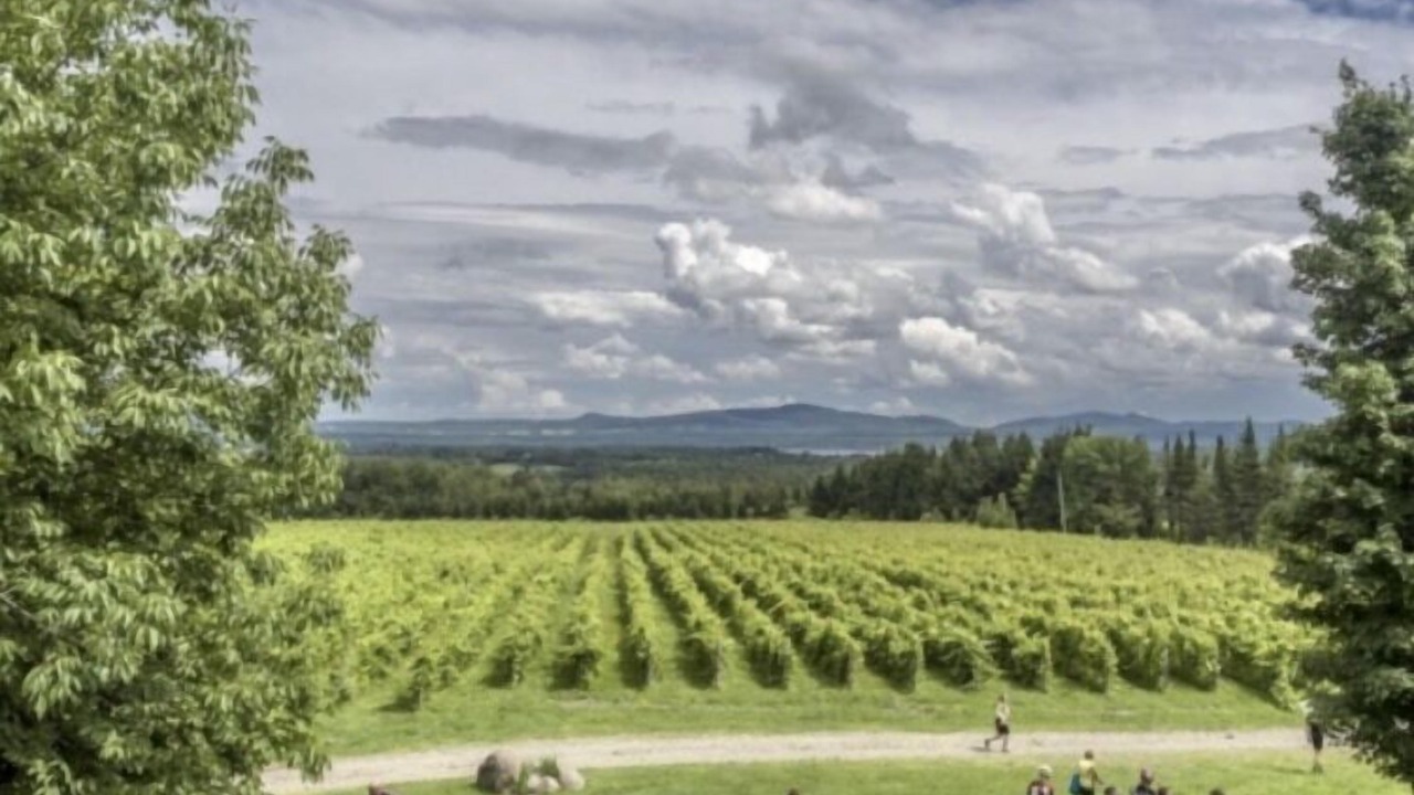 Photo of Others in Lac-Brome
