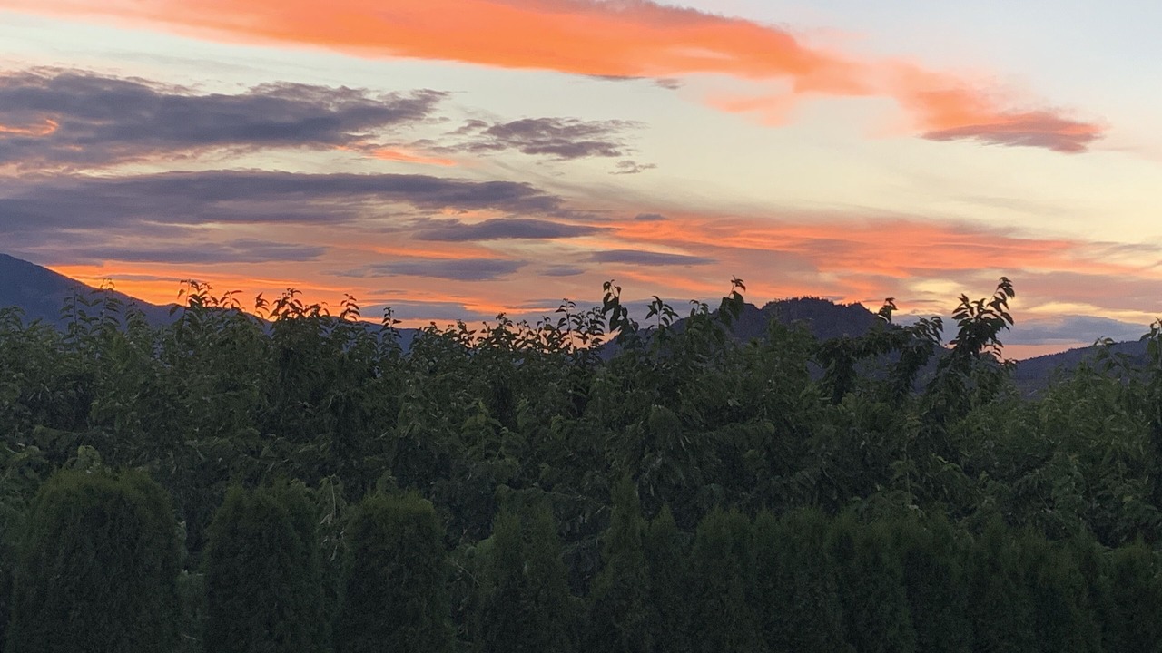 Photo of Others in Okanagan-Similkameen