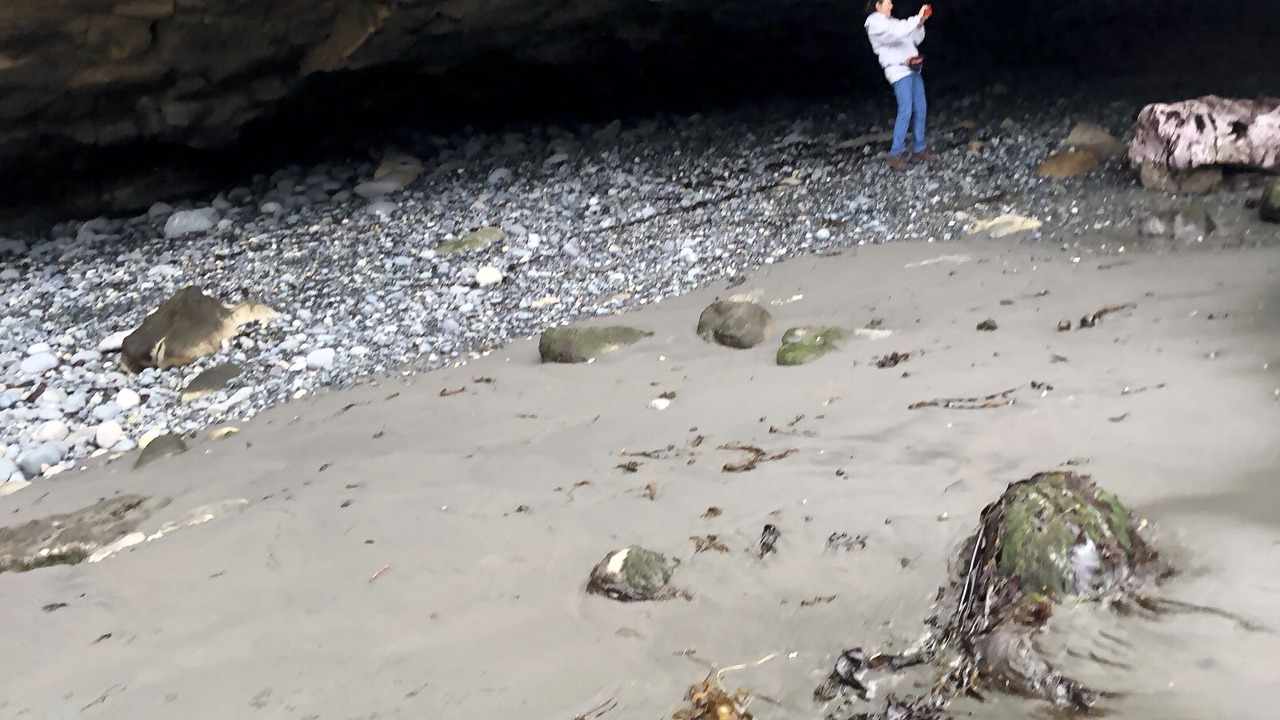 Photo of Others in Juan de Fuca Electoral Area