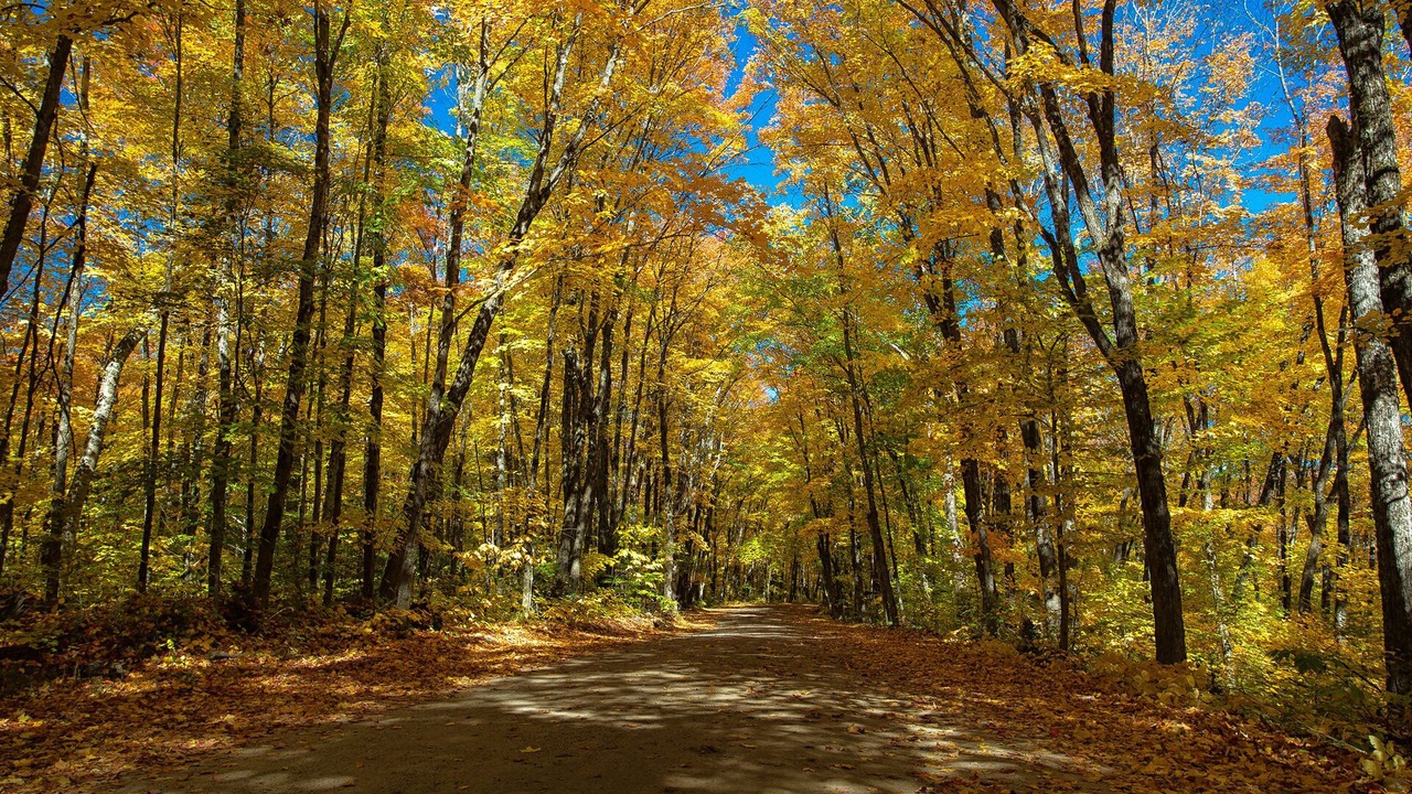 Photo of Outdoor in Balm Beach