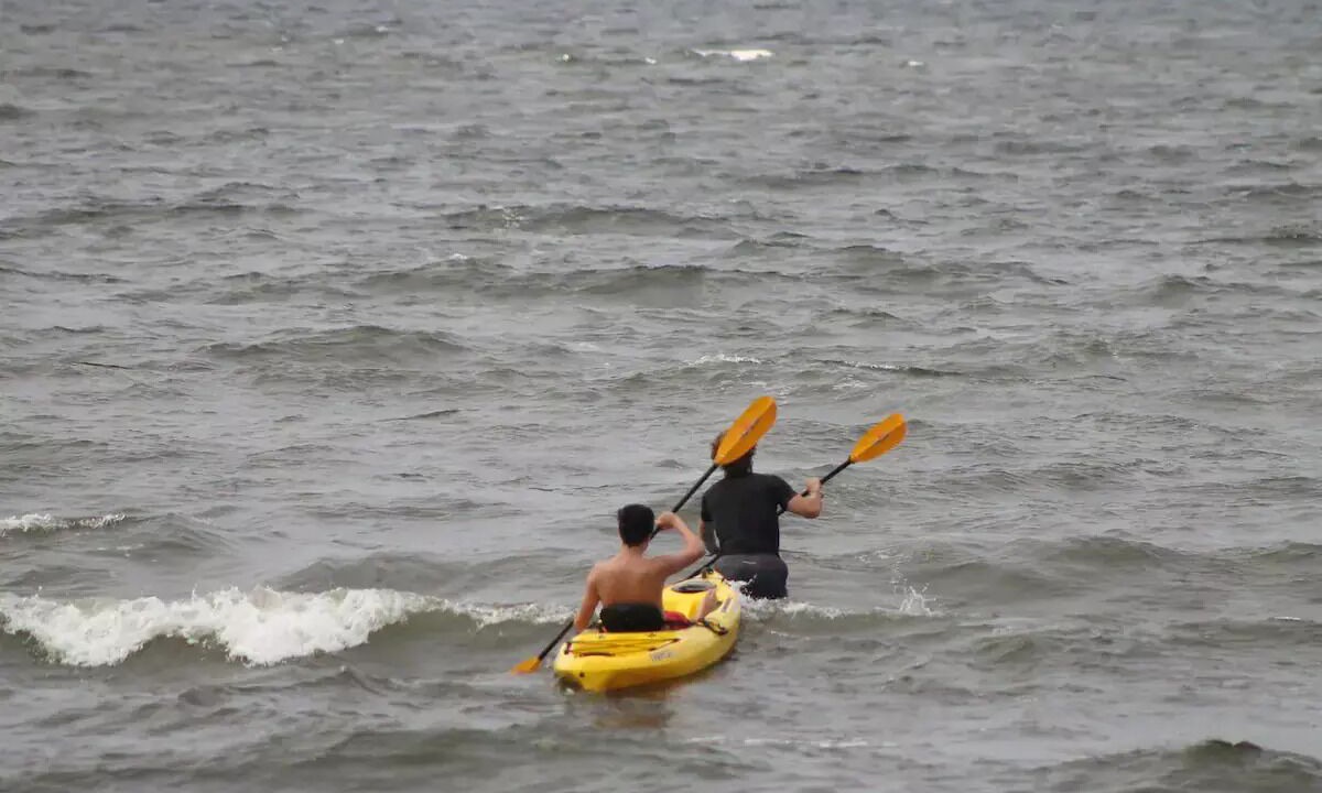 Photo of Others in North Bay