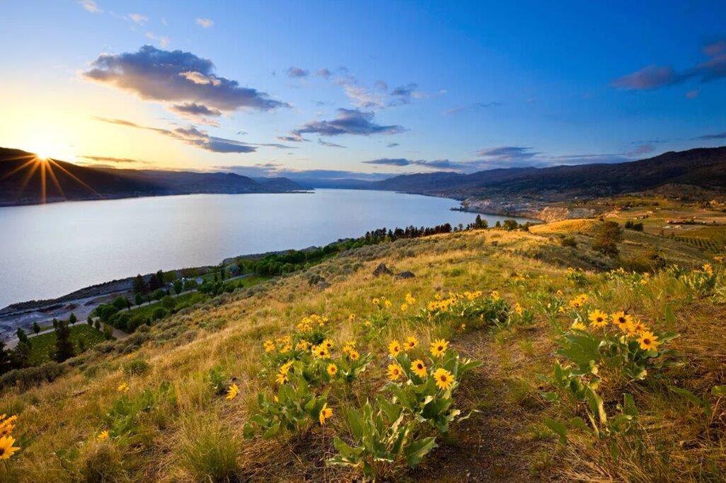 Photo of Outdoor in Kelowna Central Business District