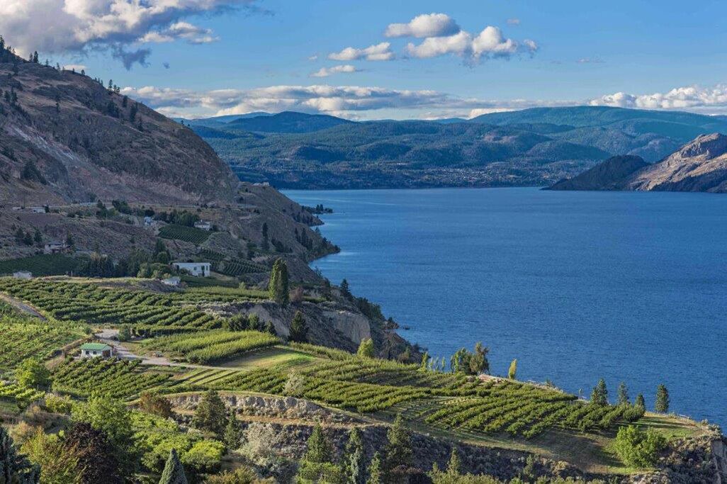 Photo of Others in Kelowna Central Business District