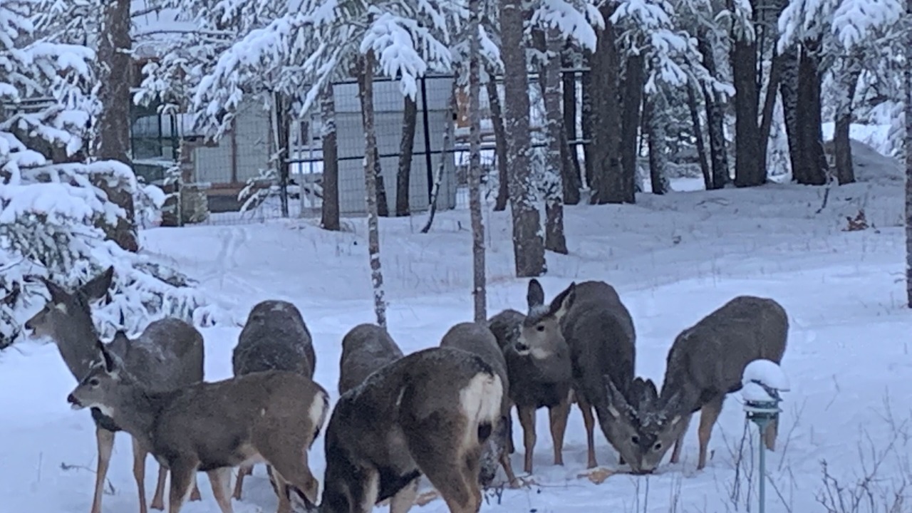 Photo of Others in Lone Butte