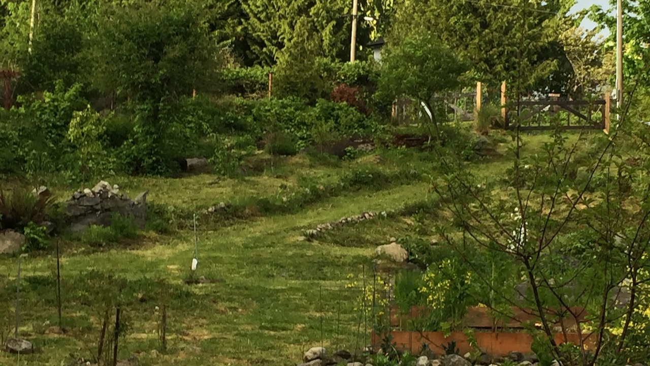 Photo of Outdoor in Powell River