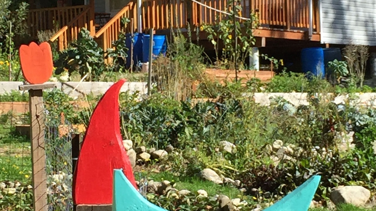 Photo of Outdoor in Powell River