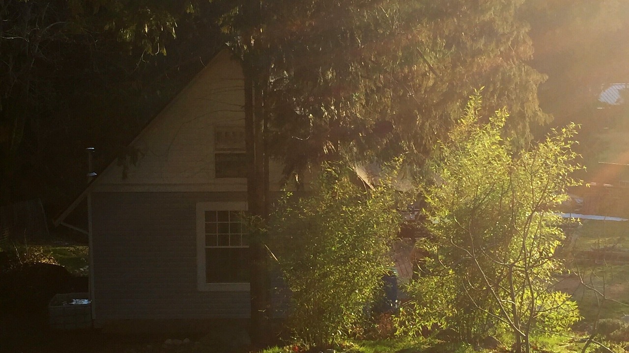 Photo of Outdoor in Powell River