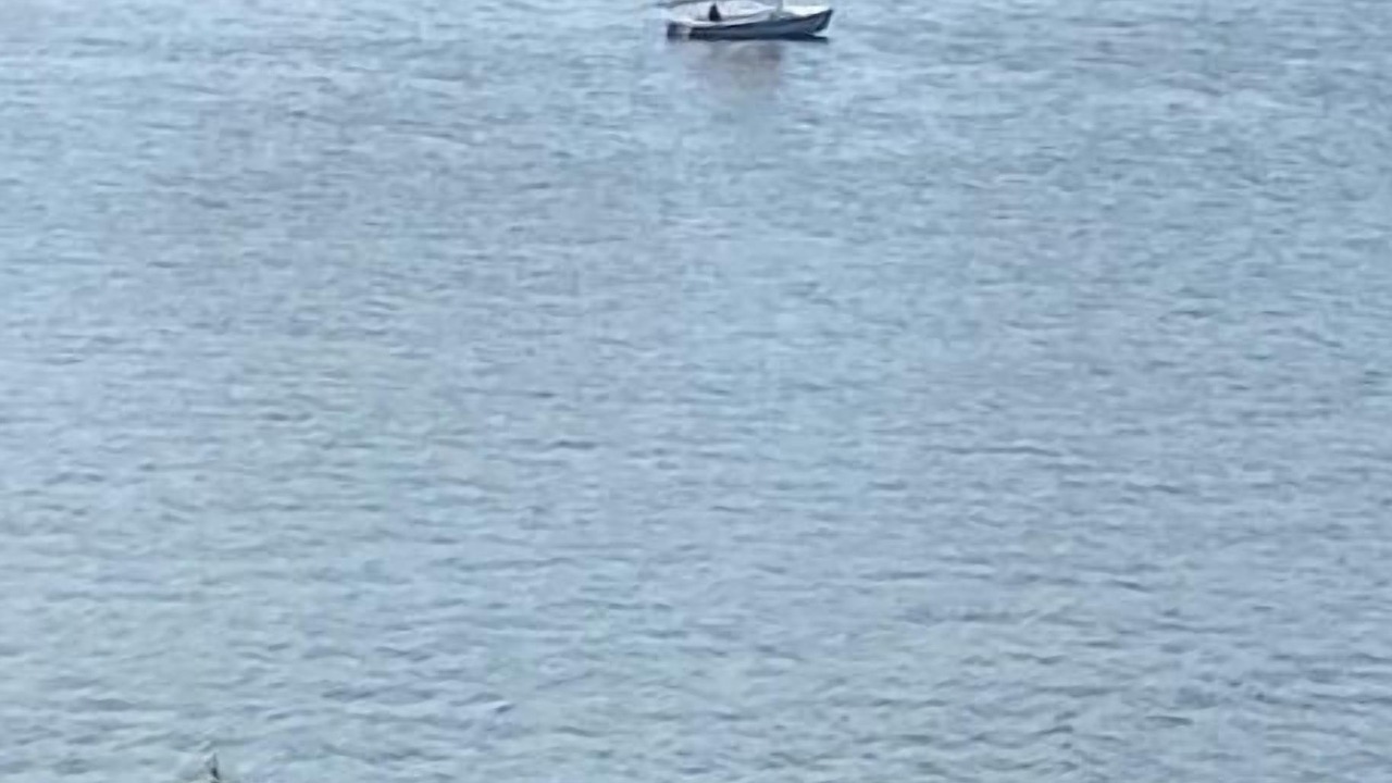 Photo of Others in Miramichi