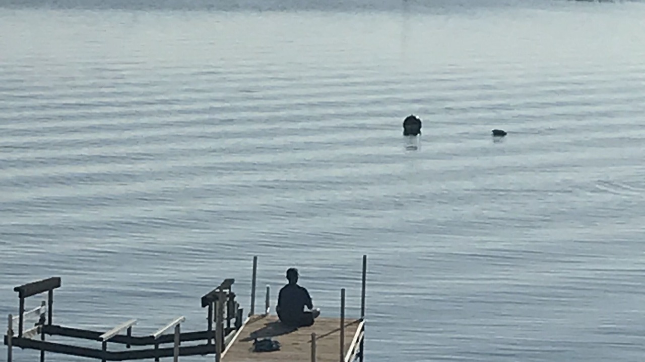Photo of Others in Victoria Harbour