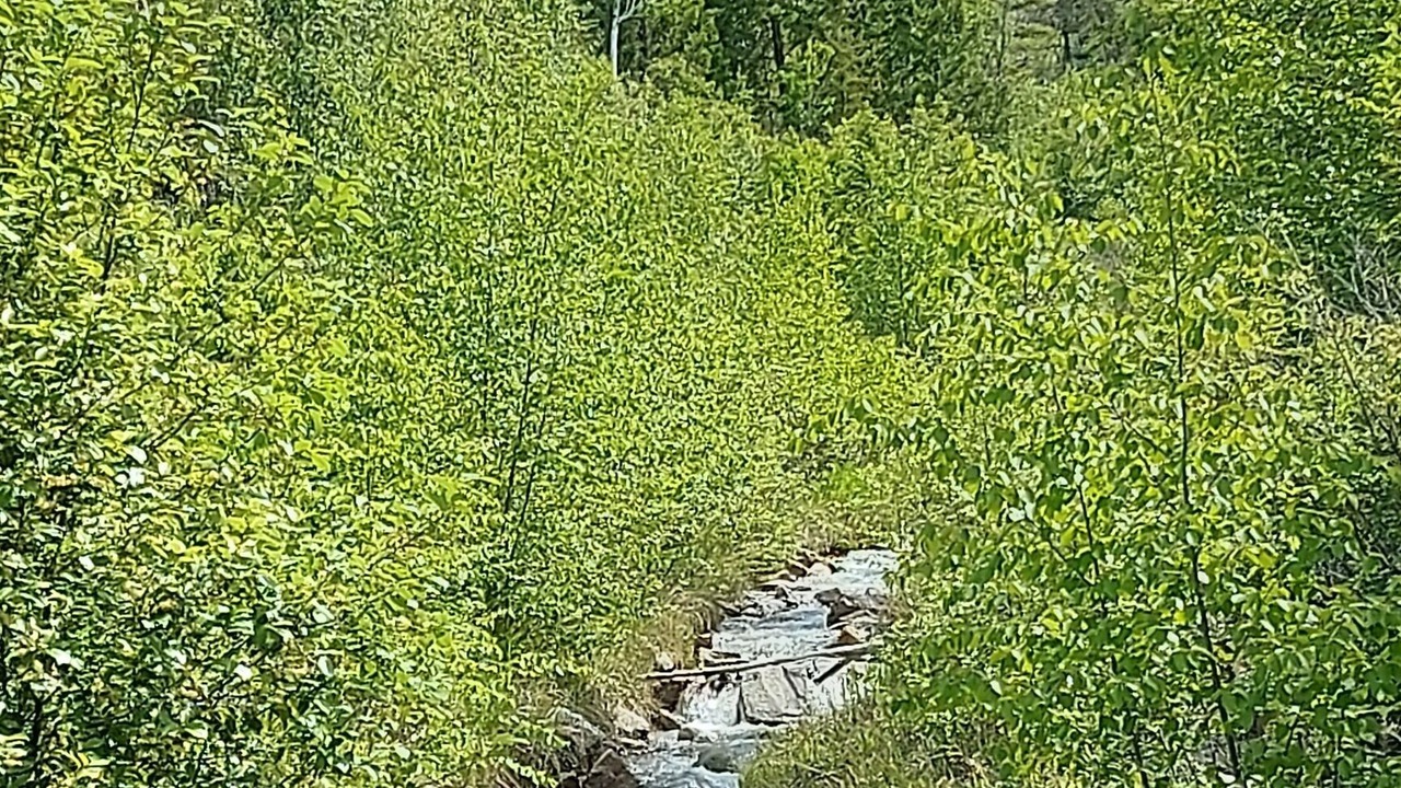 Photo of Outdoor in East Kootenay