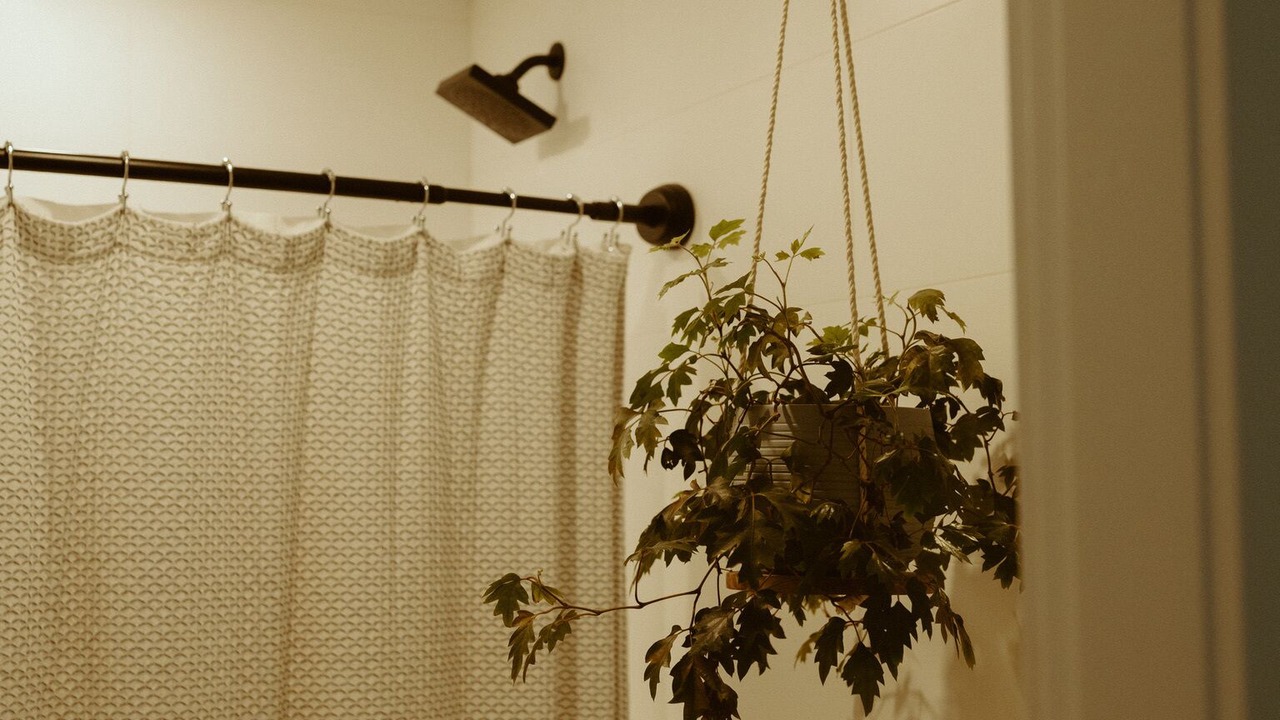 Photo of Bathroom in Powell River