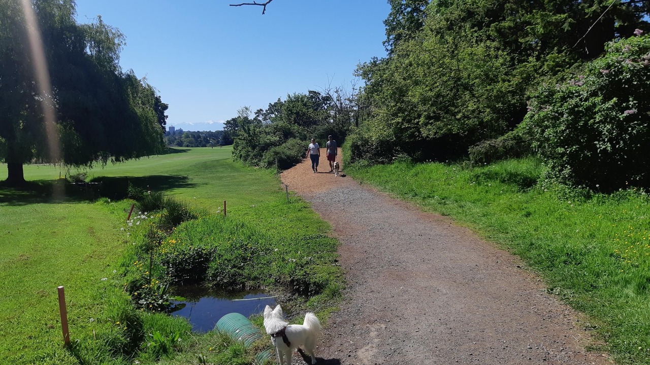 Photo of Outdoor in Saanich East
