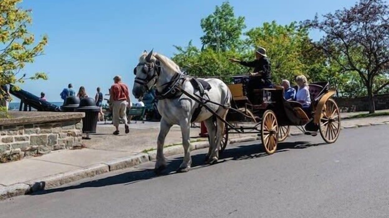 Photo of Outdoor in Old Quebec