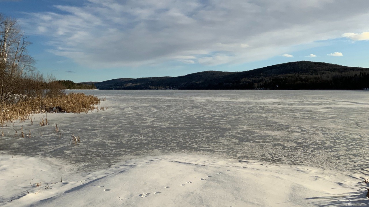 Photo of Others in Riviere-Bleue
