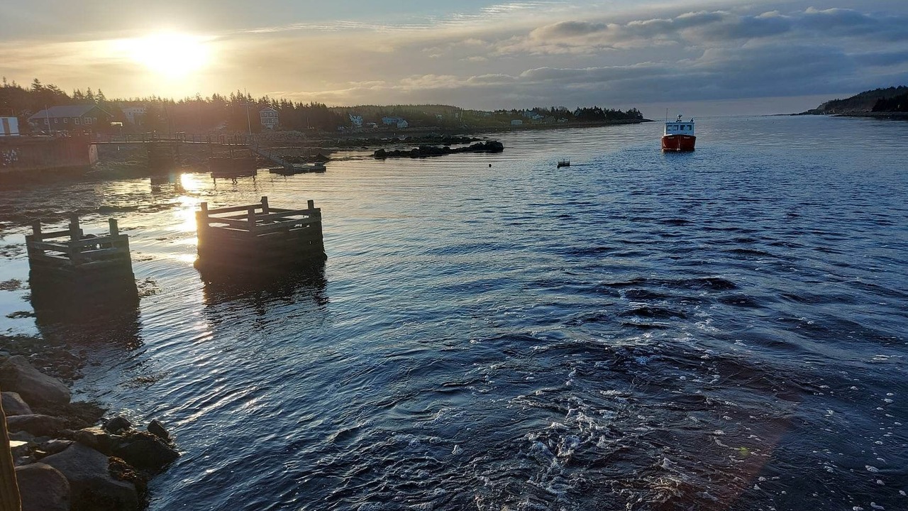 Photo of Others in Ketch Harbour