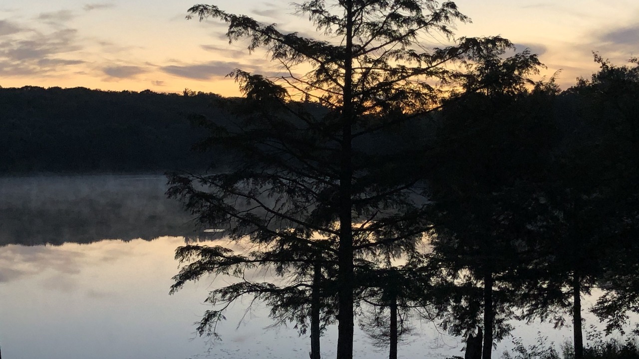 Photo of Outdoor in Foley
