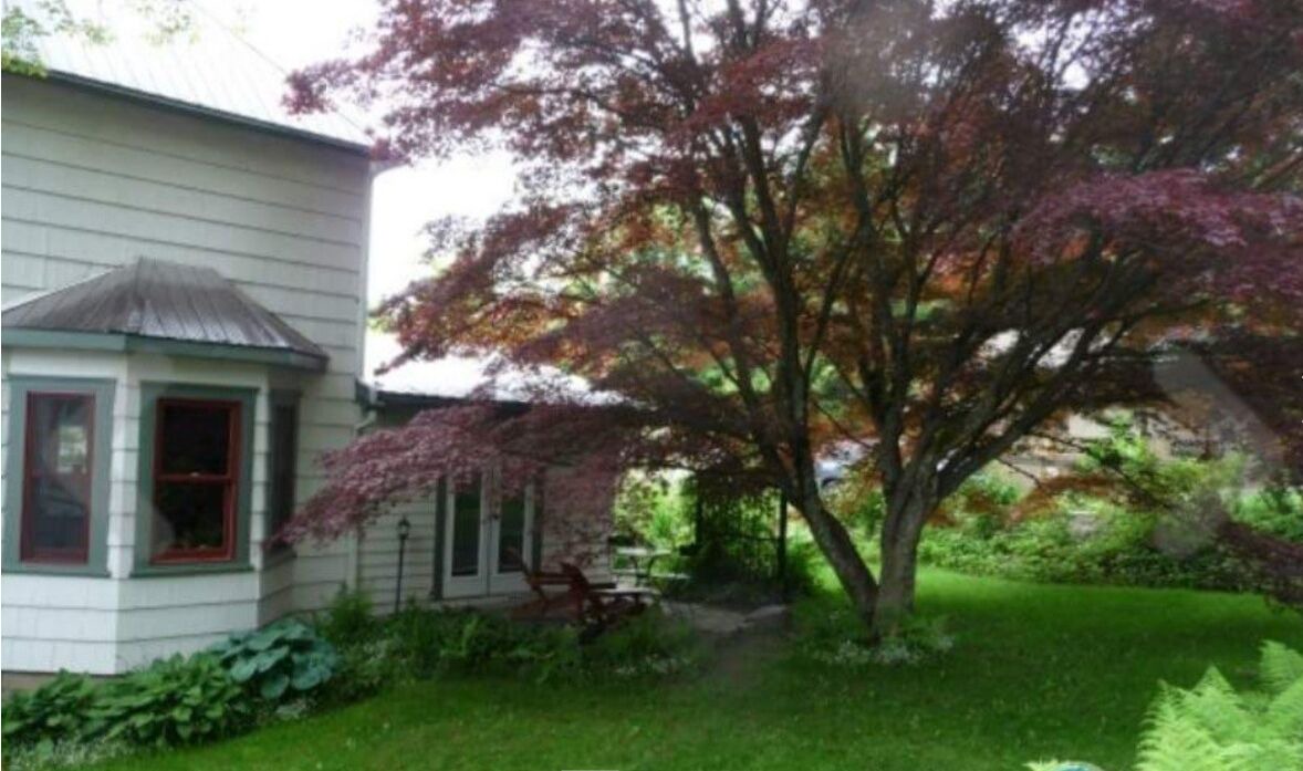 Photo of Outdoor in Nelson