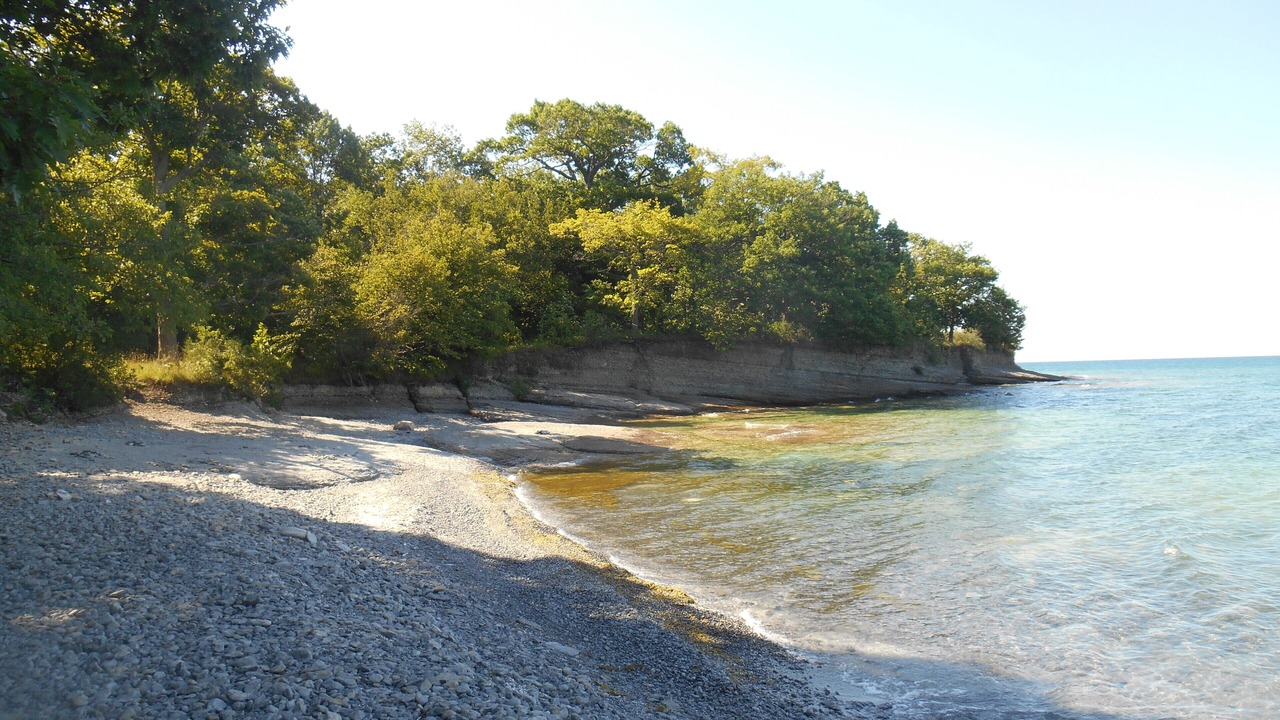 Photo of Others in Milford