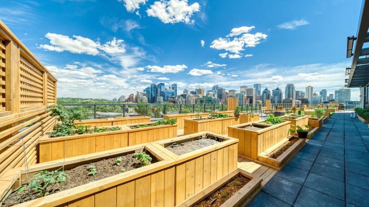 Photo of Outdoor in Sunnyside