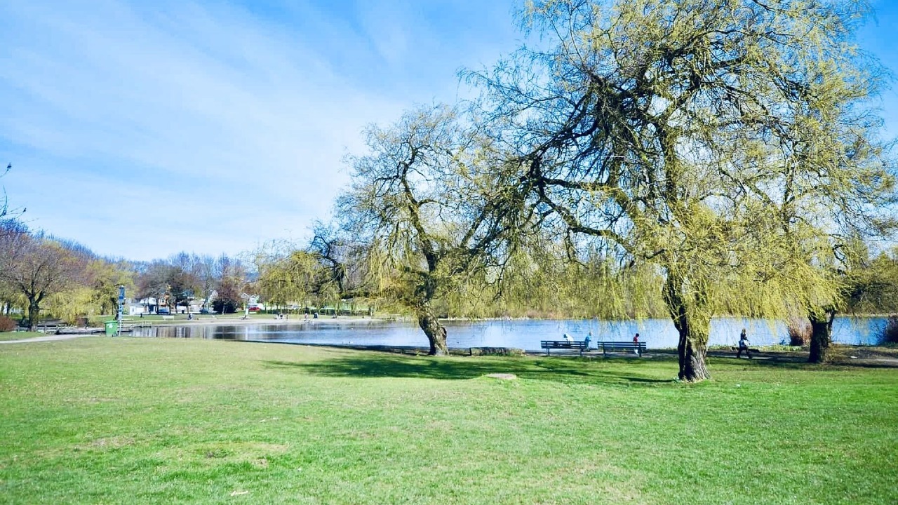 Photo of Outdoor in East Side