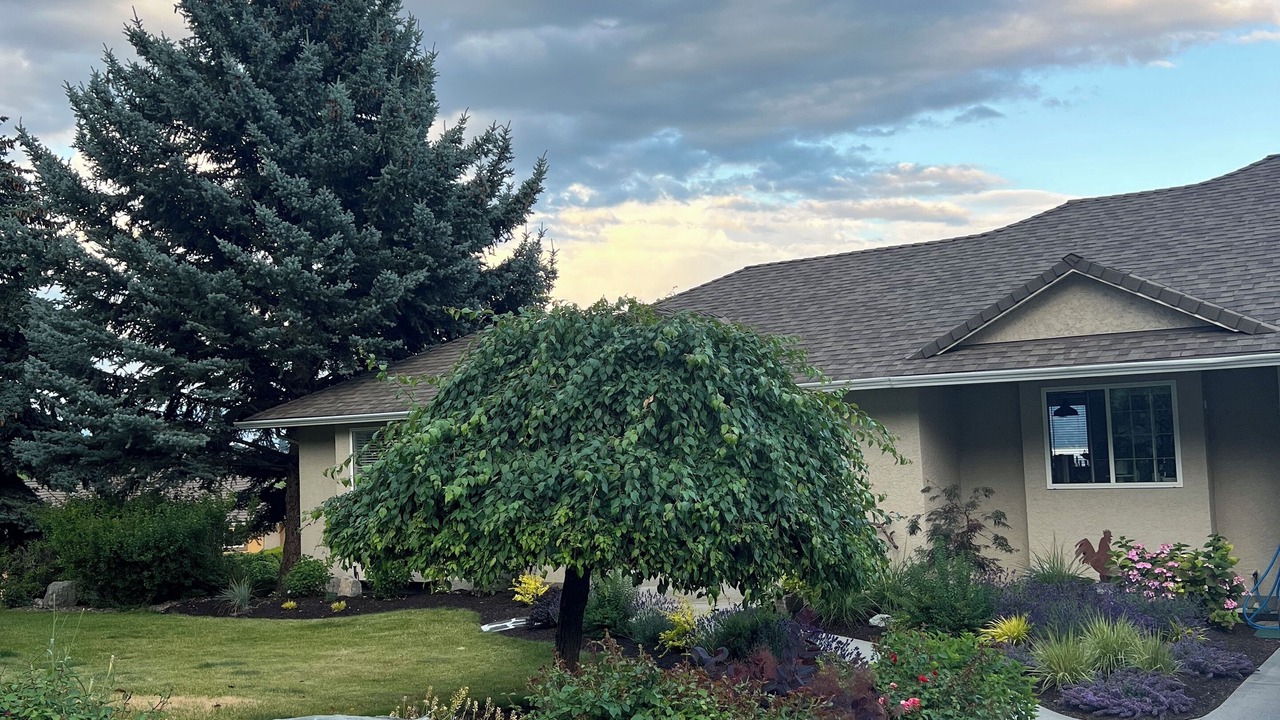 Photo of Outdoor in Central Okanagan