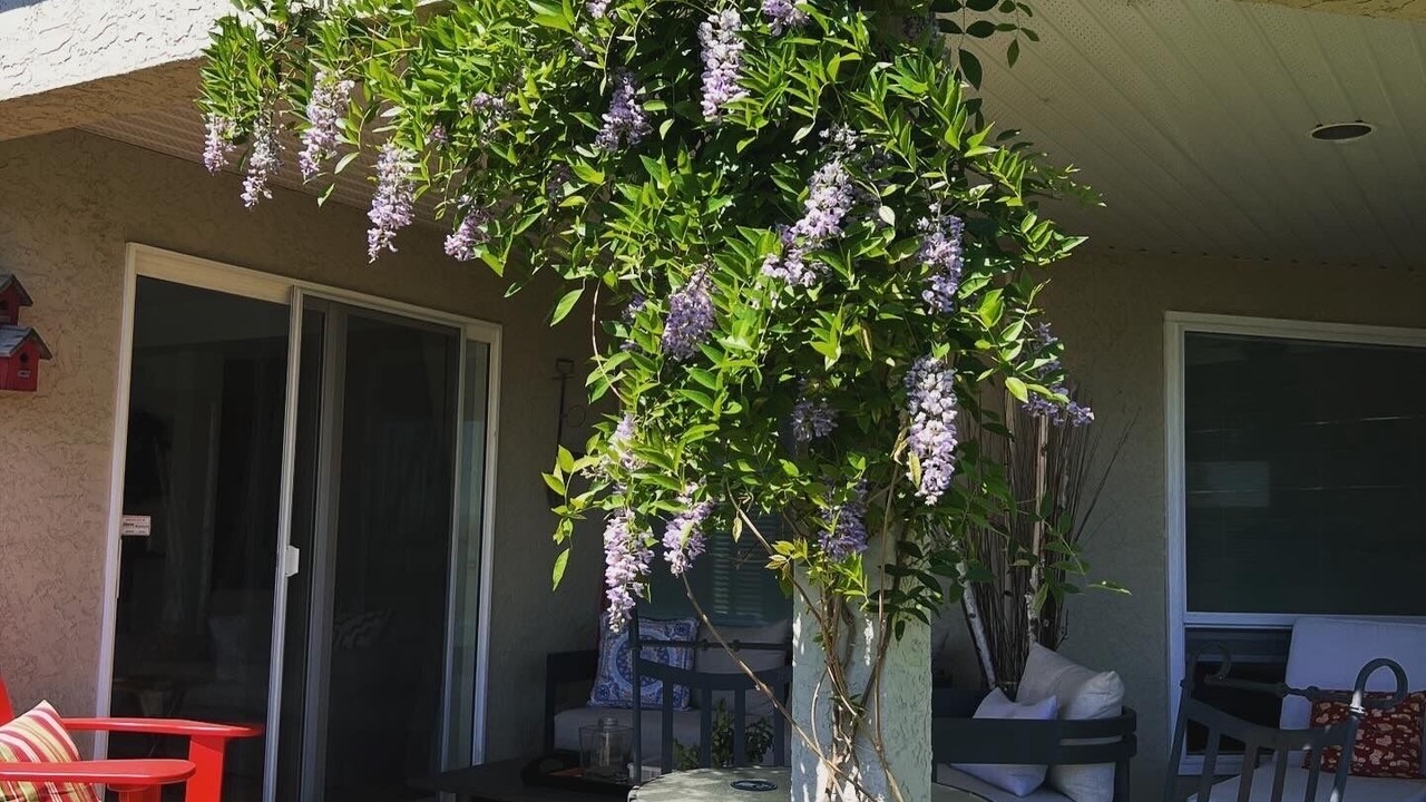 Photo of Outdoor in Central Okanagan