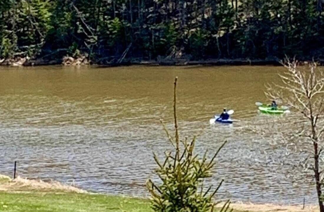 Photo of Others in Found Mills