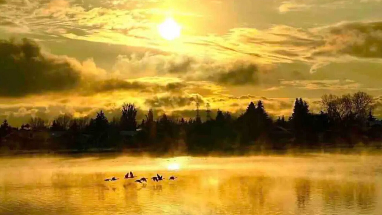Photo of Others in Chestermere