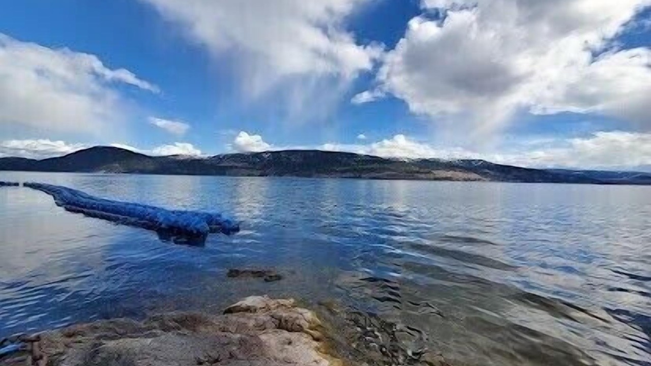 Photo of Others in Central Okanagan