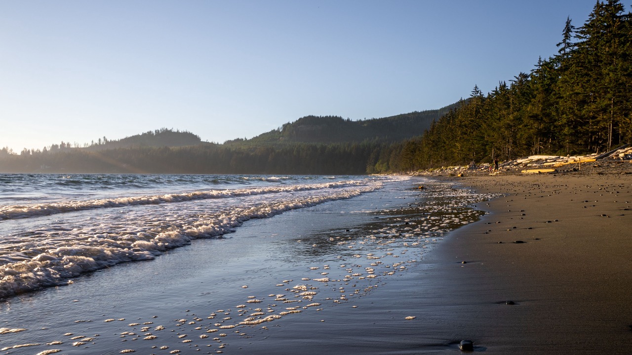 Photo of Others in Juan de Fuca Electoral Area
