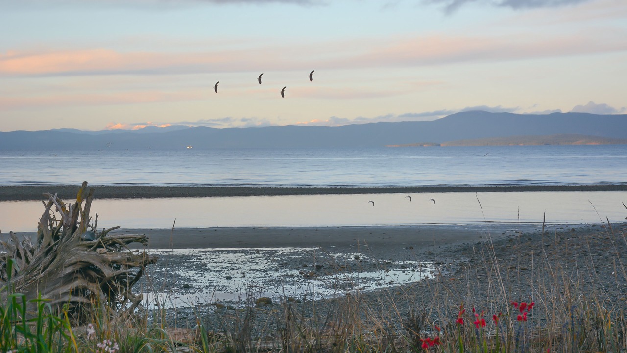 Photo of Others in Regional District of Nanaimo