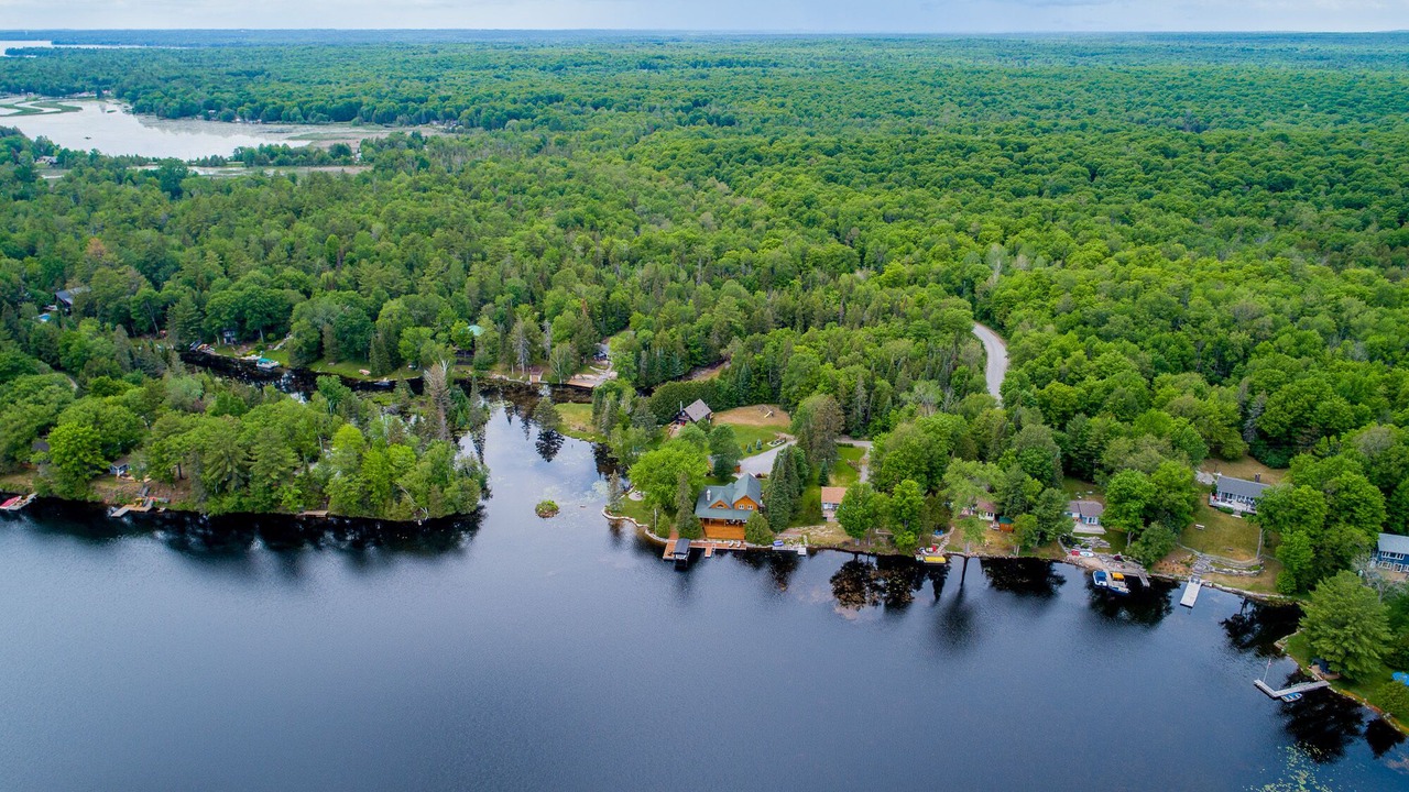 Photo of Outdoor in Trent Lakes
