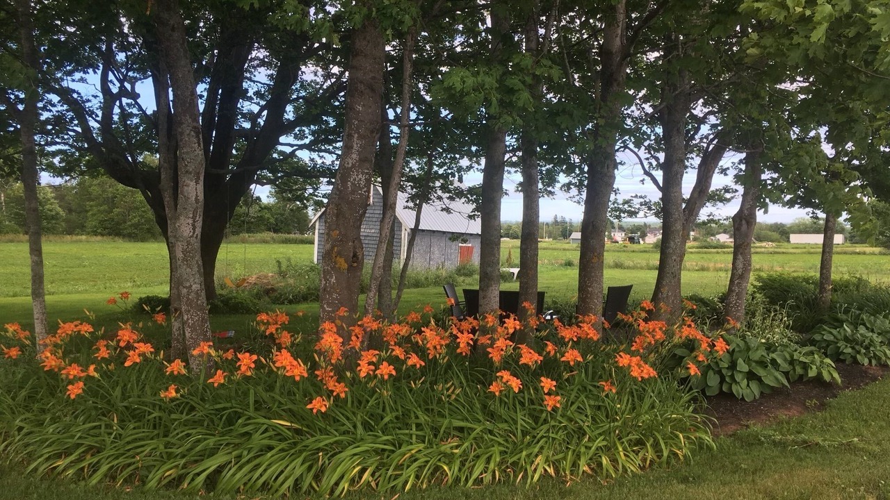 Photo of Outdoor in Stratford