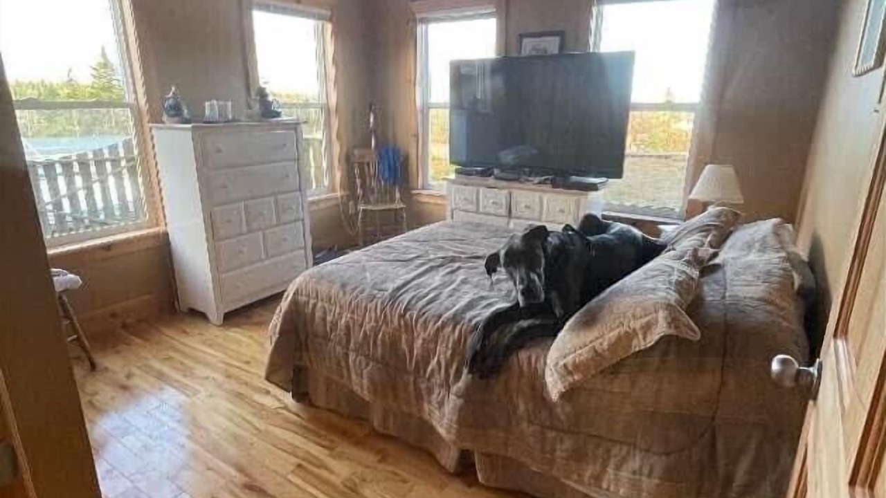 Photo of Bedroom in Brigus Junction