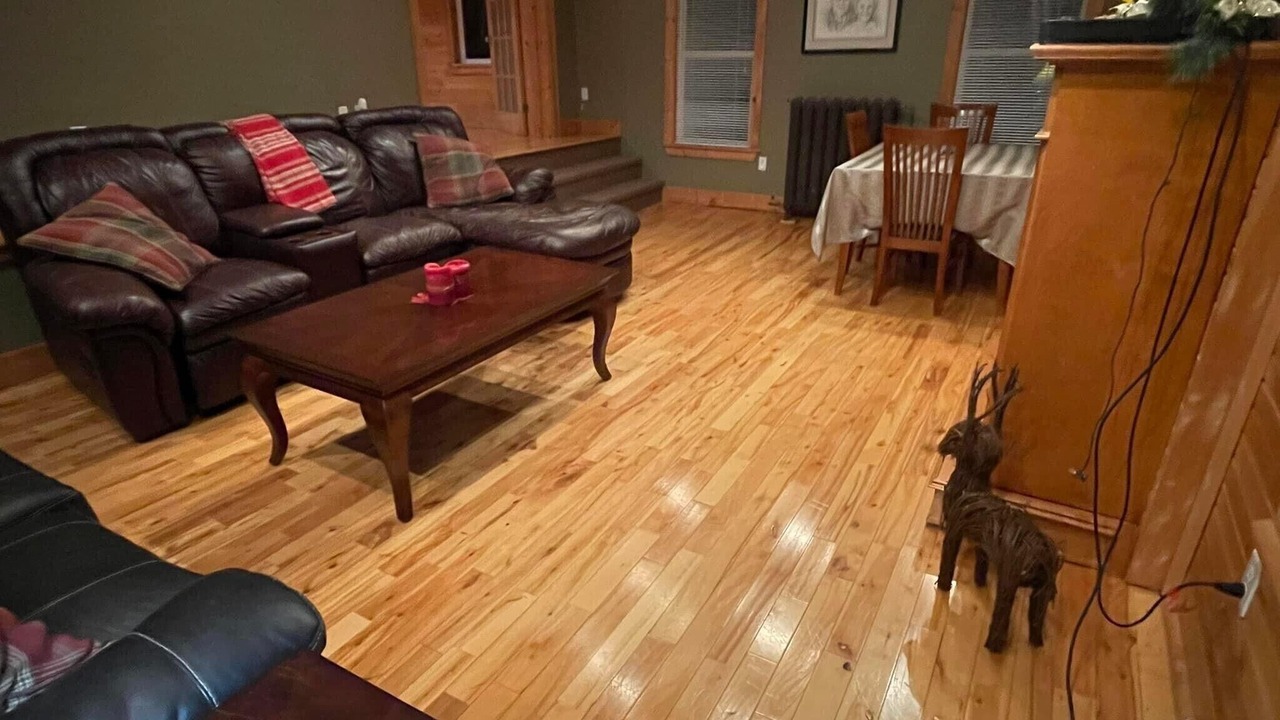 Photo of Livingroom in Brigus Junction