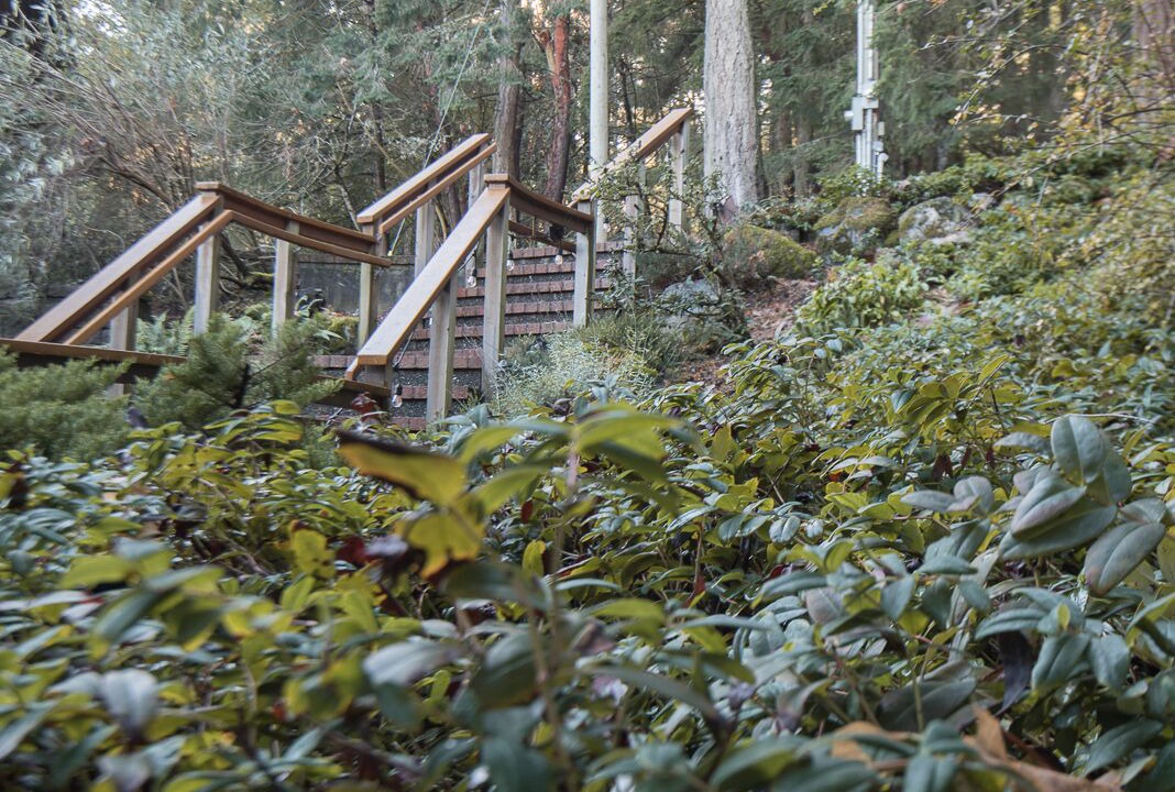 Photo of Outdoor in Maple Bay