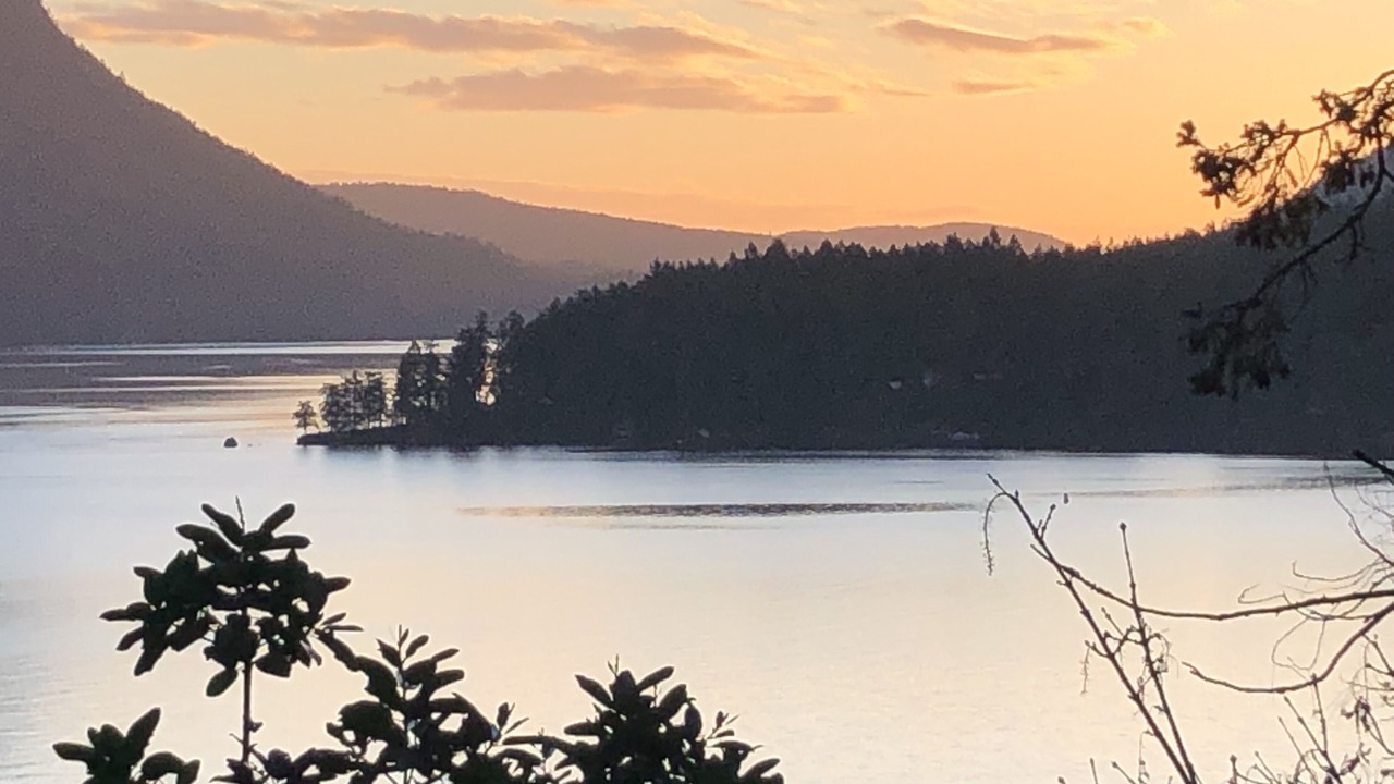Photo of Others in Maple Bay