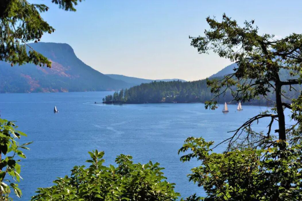 Photo of Others in Maple Bay