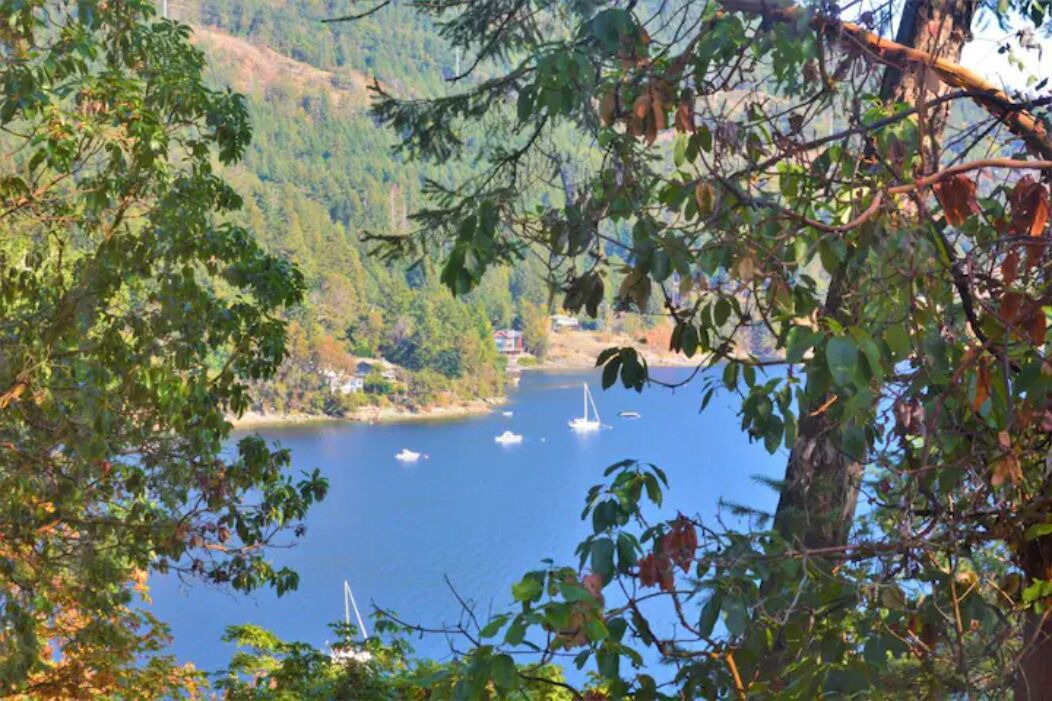 Photo of Outdoor in Maple Bay