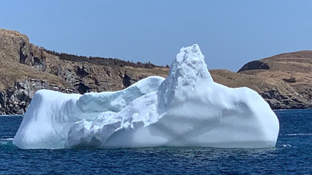 Photo of Others in Cape Broyle