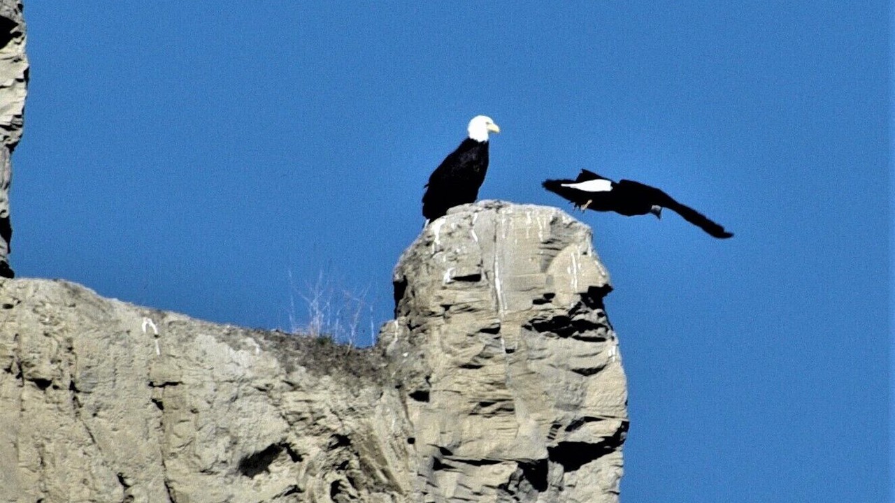Photo of Others in Okanagan-Similkameen