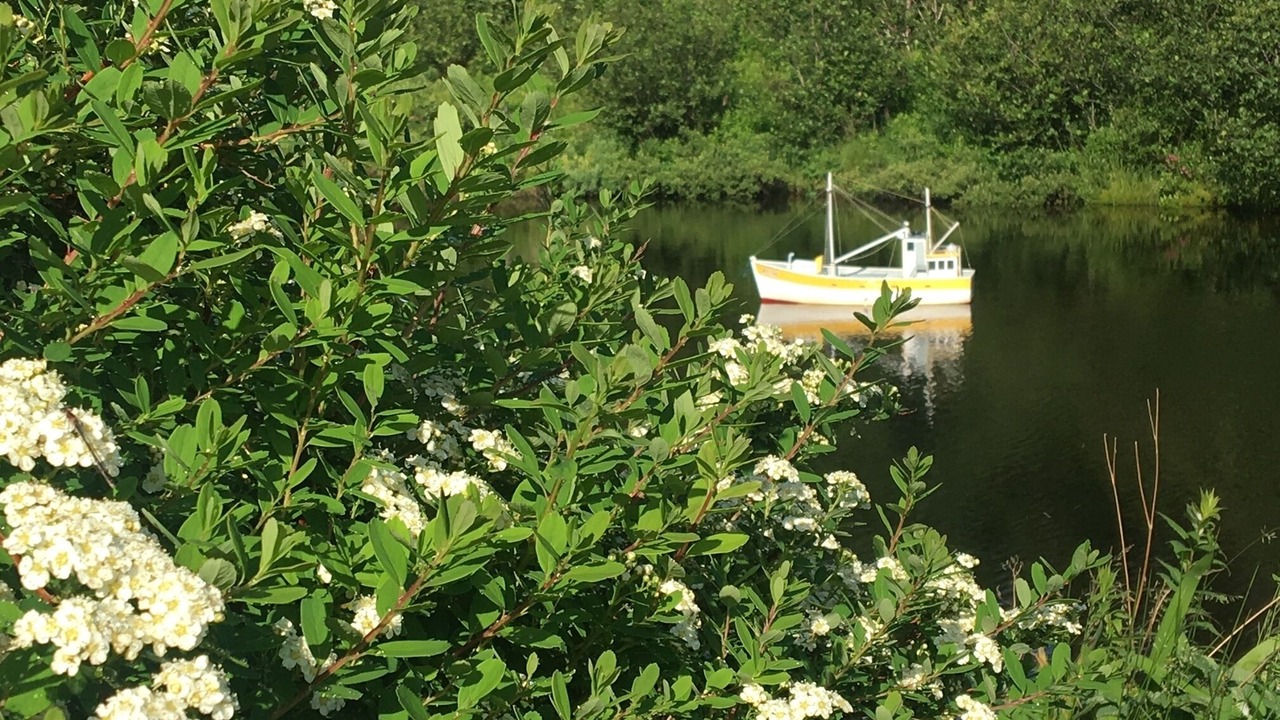 Photo of Outdoor in Cape Broyle