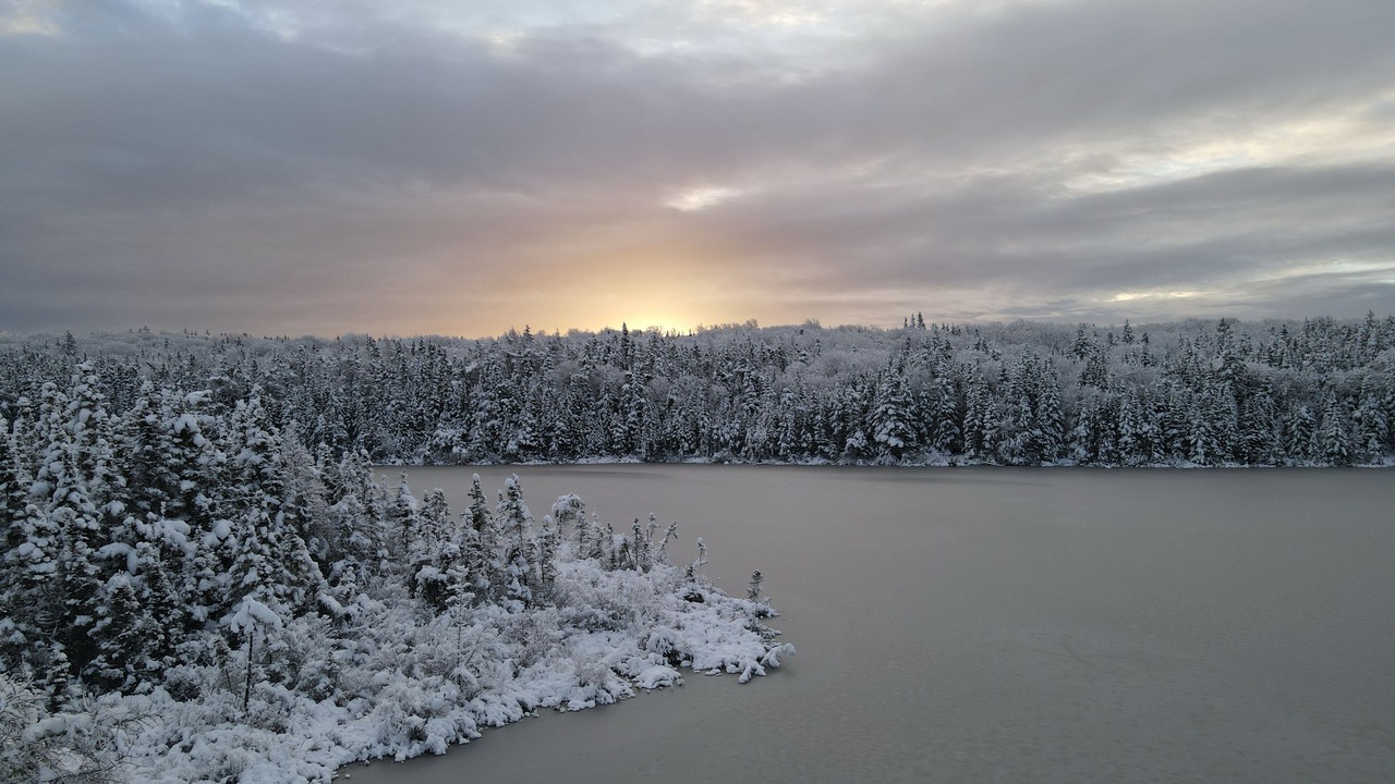 Photo of Outdoor in Marion Bridge