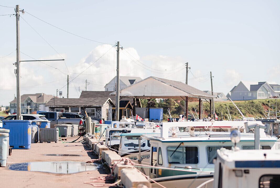 Photo of Outdoor in Brackley Beach