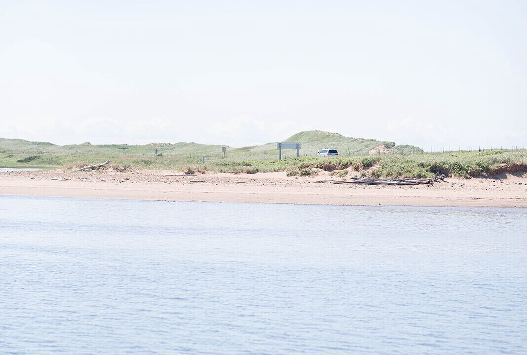 Photo of Others in Brackley Beach