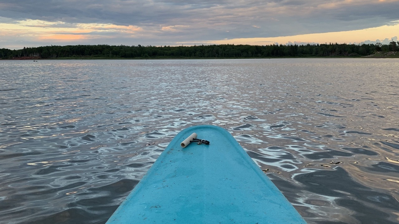 Photo of Others in Tyne Valley